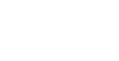 Totally Exclusive Visual Designs LLC